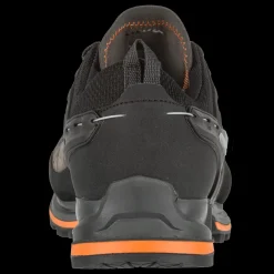 Mountain Trainer 2 Walnut