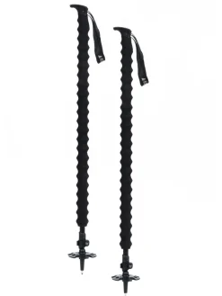 Pahto Ski Poles