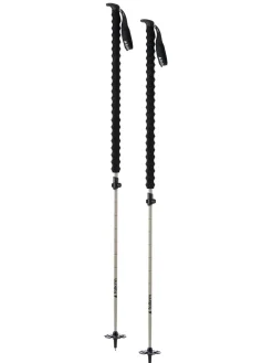 Pahto Ski Poles